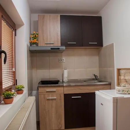 Suncica Vrnjačka Banja