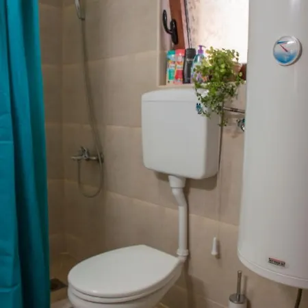 Apartment Suncica *