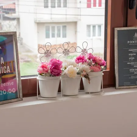 Apartment Suncica *