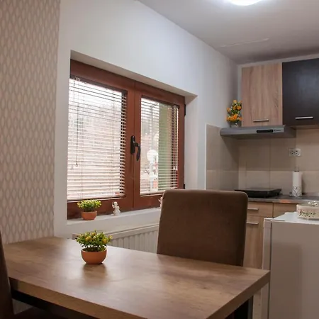 Suncica Vrnjačka Banja